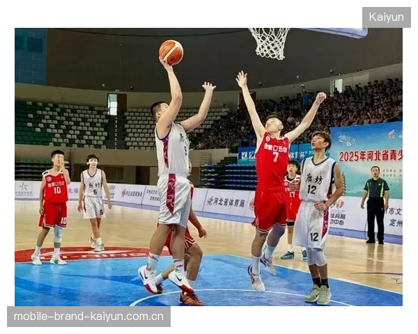 青少年篮球锦标赛：12 岁球员飞扣